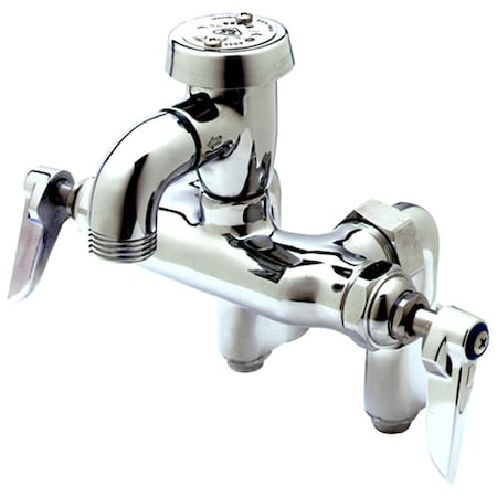 T&S Brass Faucet, Service , W/Vacbkr, Ada -0669-RGH
